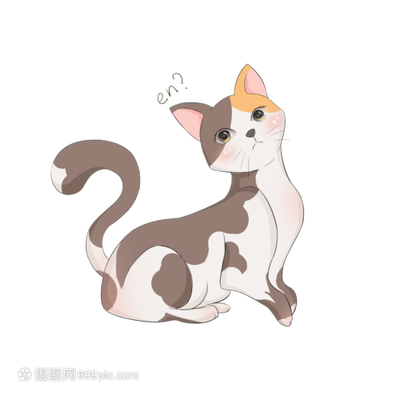 世界上最可爱的猫视频