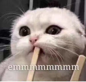 猫耳螨怎么才算彻底治好