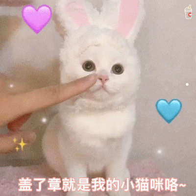 懒人能养什么宠物