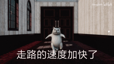 猫要怎么空运