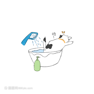 床上的猫毛一般怎么处理