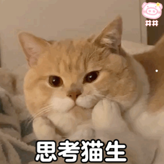 10天内猫没死还要继续打针吗