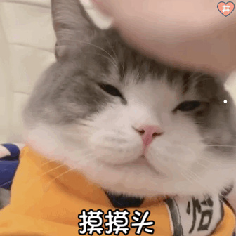 携带狂犬病的猫的特征