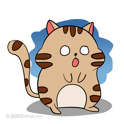 猫为什么喜欢钱