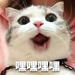 怎样可以防止猫咪脱毛