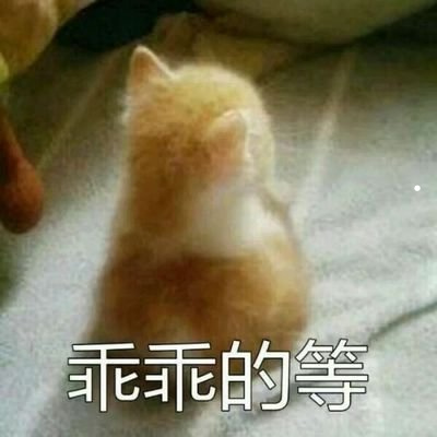 未来几年的养殖行业怎么样