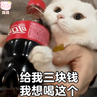 黑色猫黄眼睛什么品种