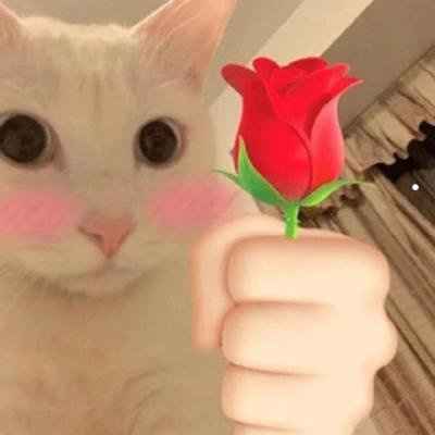 猫咪哪个品种粘人
