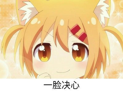 各种各样猫的品种