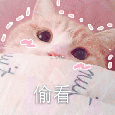 可爱的小猫怎么画
