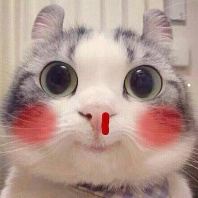 猫的胡子根部发黑