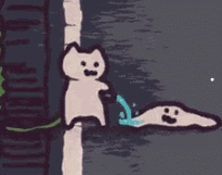 猫一直跟着你什么意思