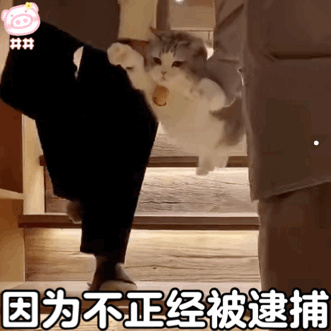 幼犬金毛图片