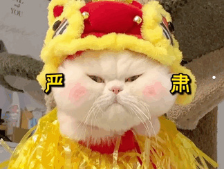 月薪4000可以养猫吗