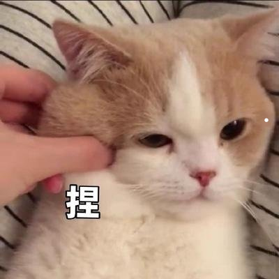 黑猫跟着人走预示什么