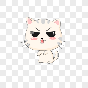 世界名猫图片及名称
