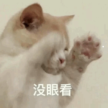 布偶猫为什么不能养六楼