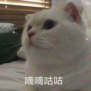 出租车丢失东西怎么找