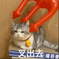 猫的特长和本领