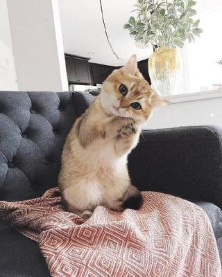 视频水印