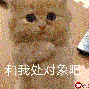 西瓜播放器