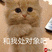 什么牌子的猫条比较好