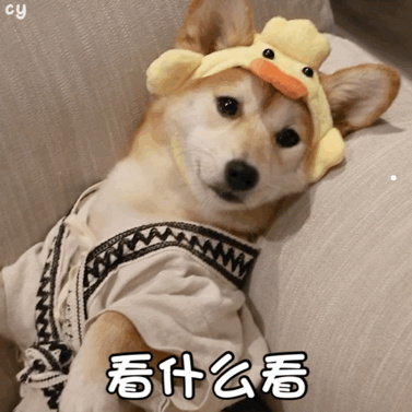 吸引猫叫声音视频