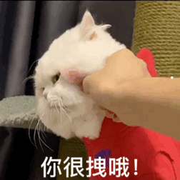 孩子被猫抓伤一个月后才知道