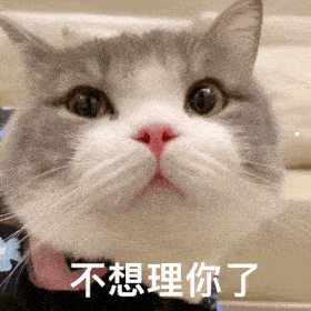 有哪些宠物可以养