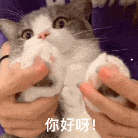 人有三种债不能欠