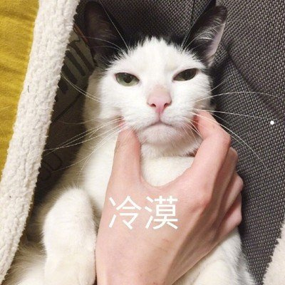 已经养了的禁养犬怎么处理