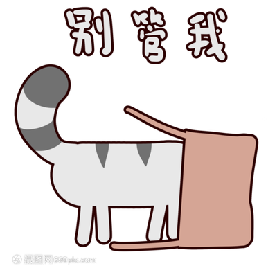 主流猫品种