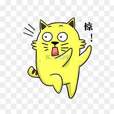 狗狗价格今日行情