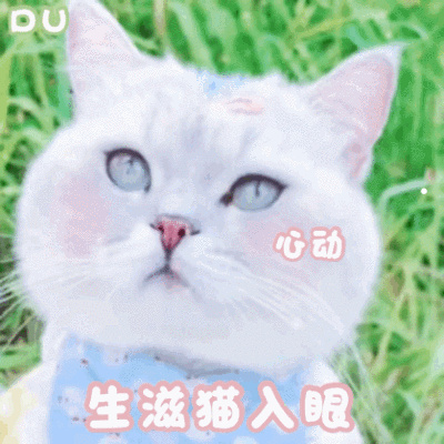 幼犬第一次驱虫用什么药