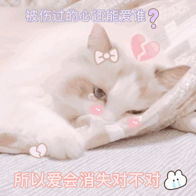 被猫抓破皮猫没死有事吗