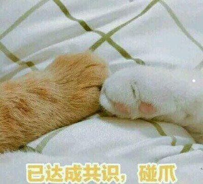 房间有跳蚤怎么除干净