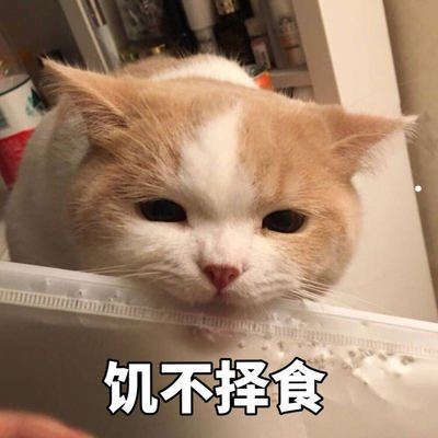 美短不让抱