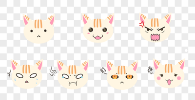猫咪掉毛严重有皮屑