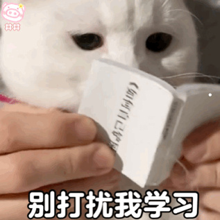 金毛犬九个品种图