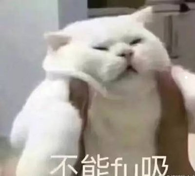 猫的声音