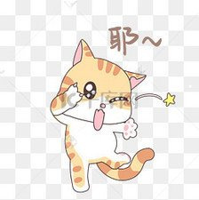 凌晨三点有猫叫