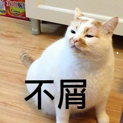 杜宾犬咬人怎么办