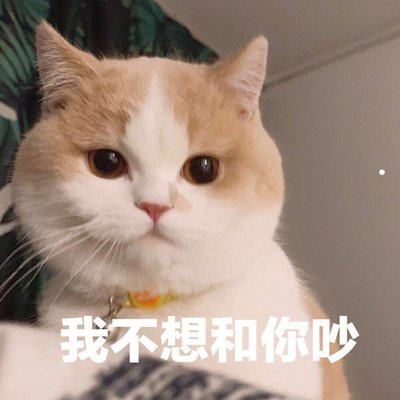 绿萝怎么养才能好