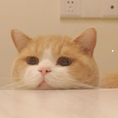 两岁宝宝被猫抓破皮要不要打疫苗