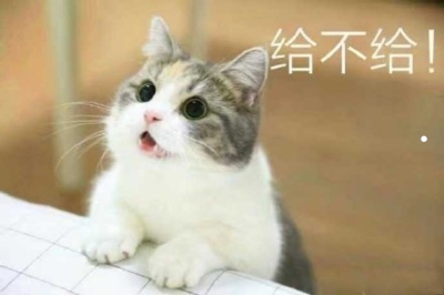 大型狗排名前十的狗