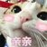 为什么英短生出了美短