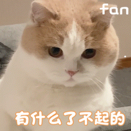 猫咪喜欢搂着主人睡