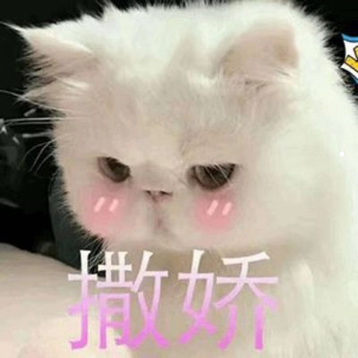 被猫咬了过了20天安全了吗