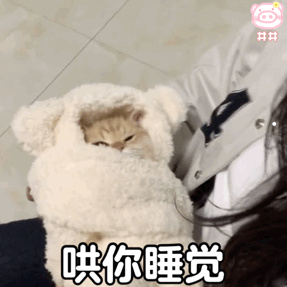 美短小时候尴尬期