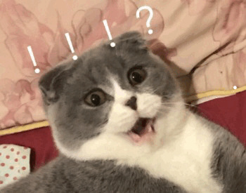 猫咪喜欢搂着主人睡